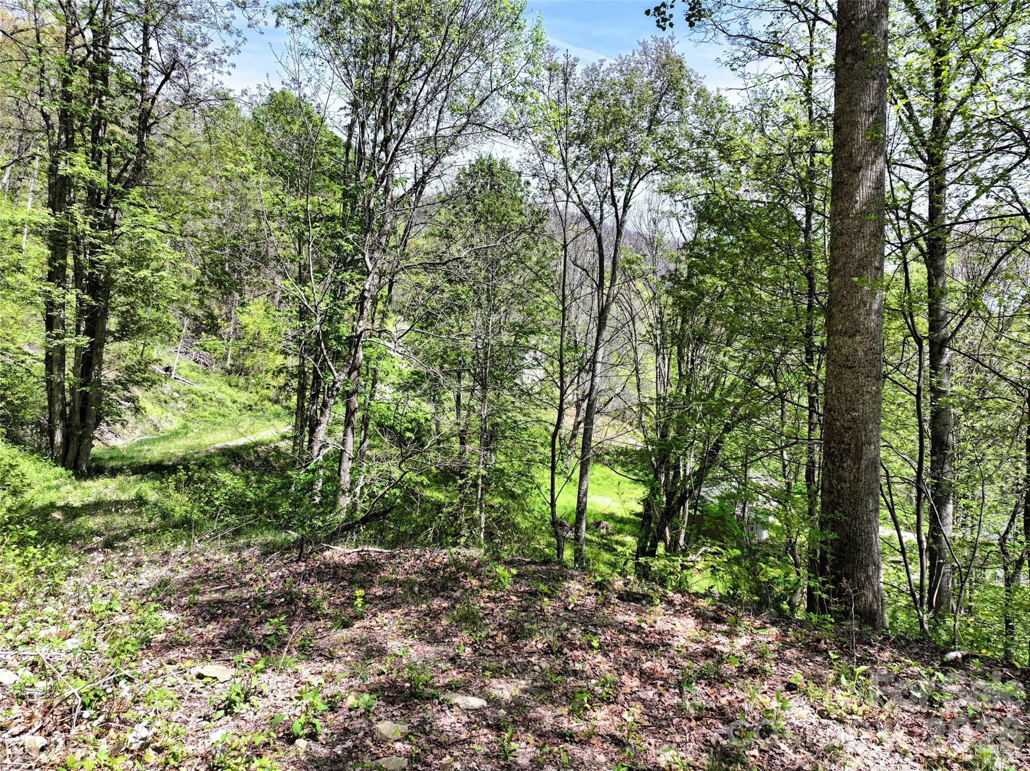 9999 Divit Road Waynesville NC 28785