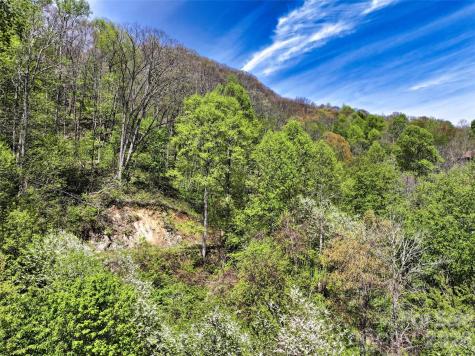 9999 Divit Road Waynesville NC 28785