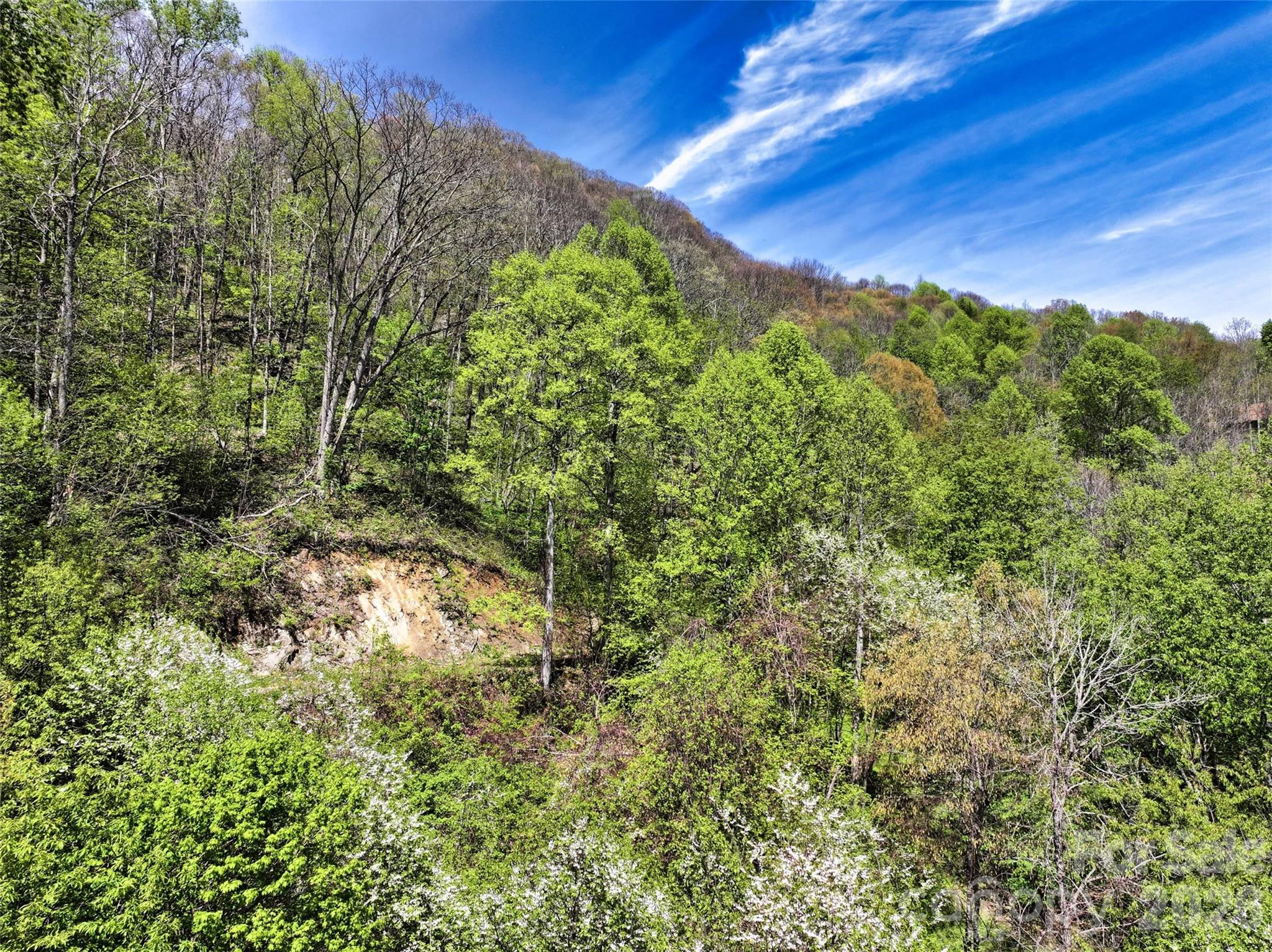 9999 Divit Road Waynesville NC 28785