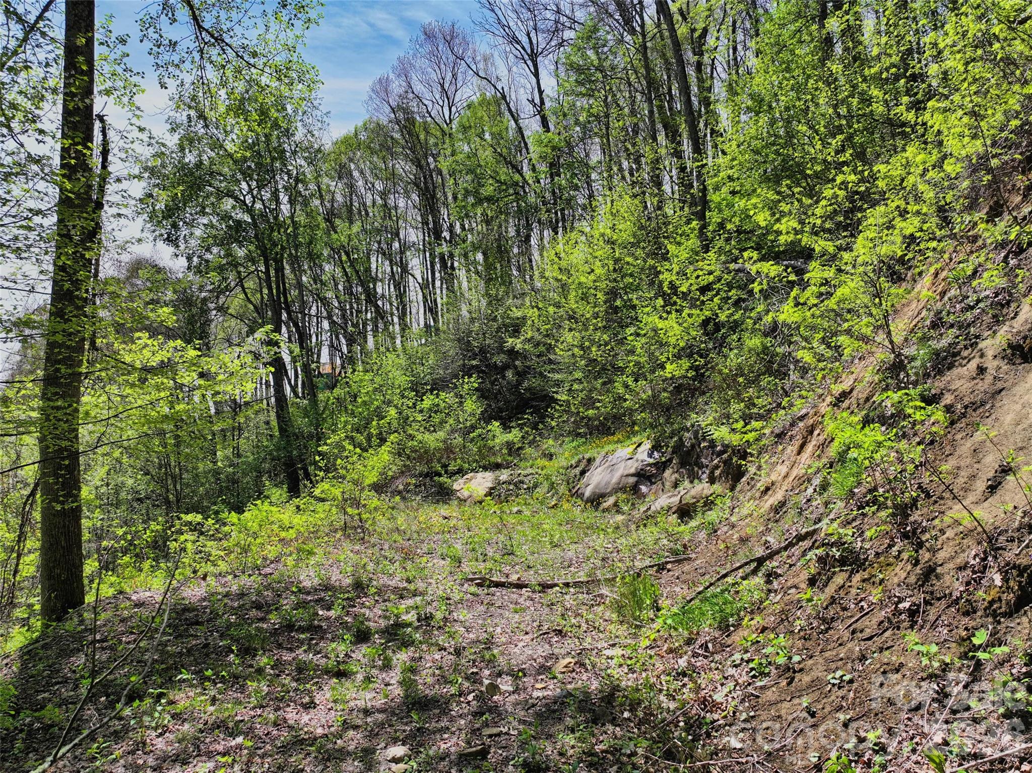9999 Divit Road Waynesville NC 28785
