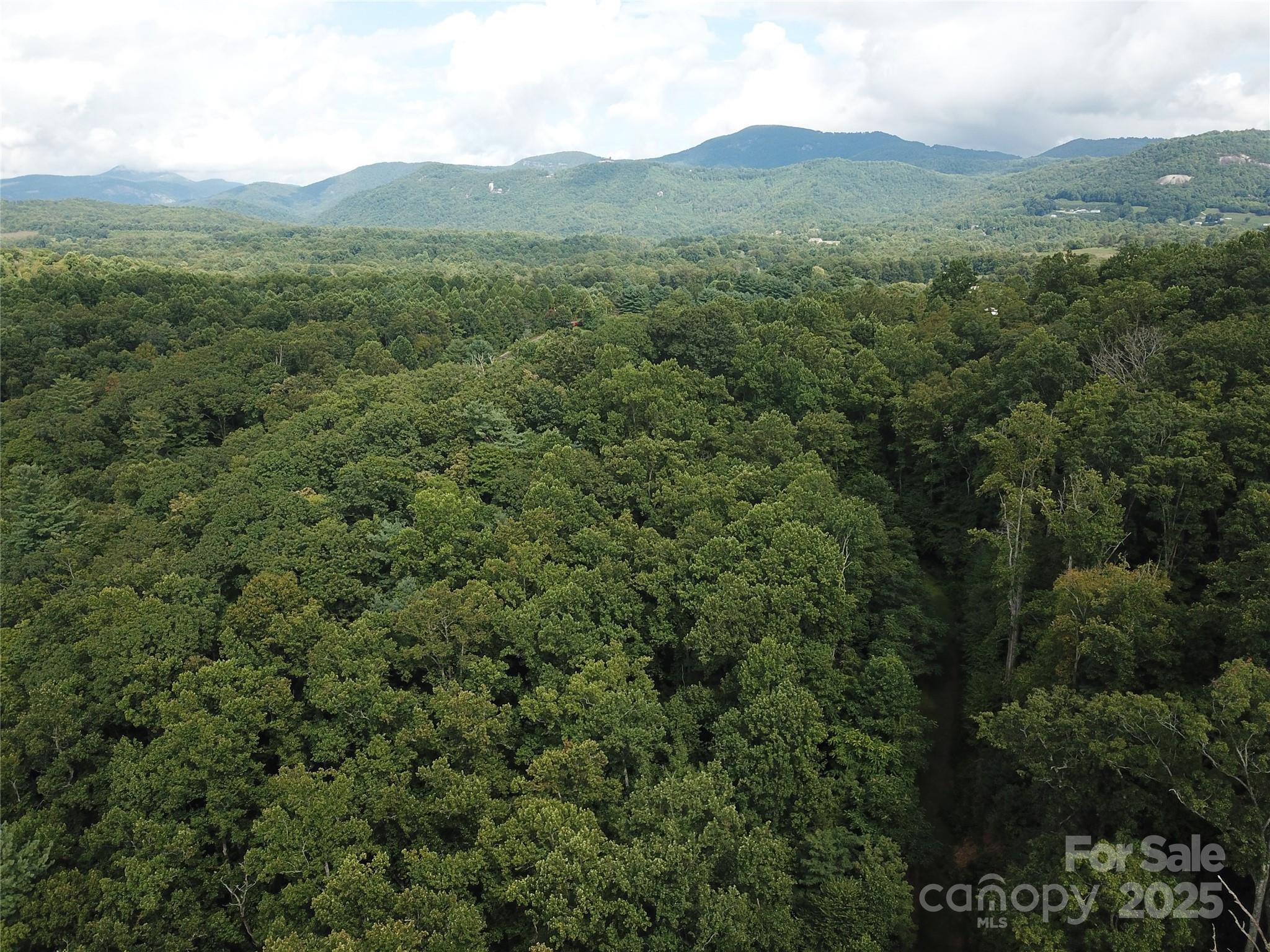0 Pounding Mill Hendersonville NC 28792