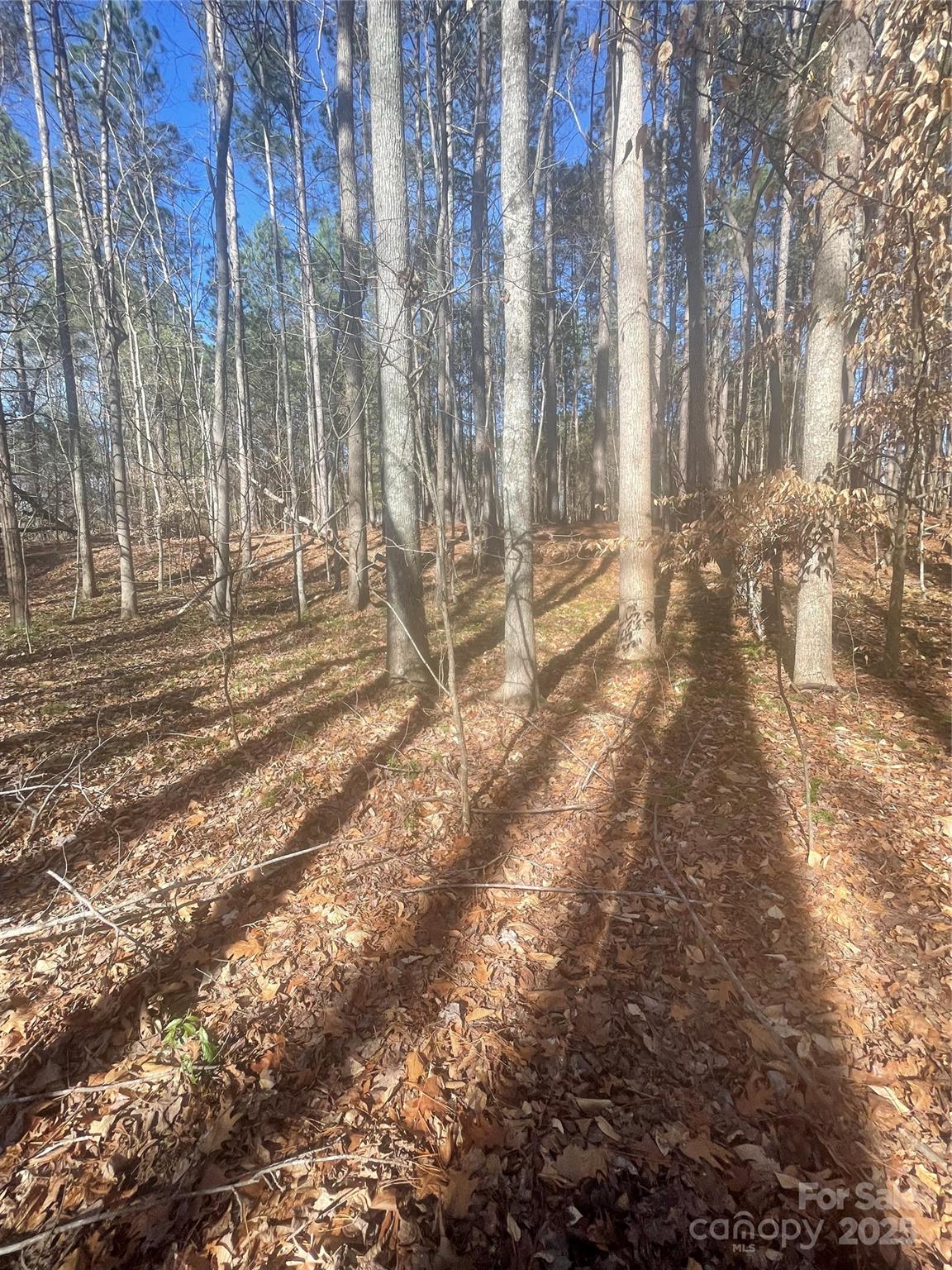 00 Rutan Court Mooresville NC 28117