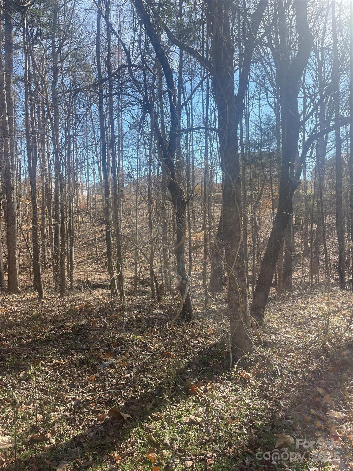 00 Rutan Court Mooresville NC 28117