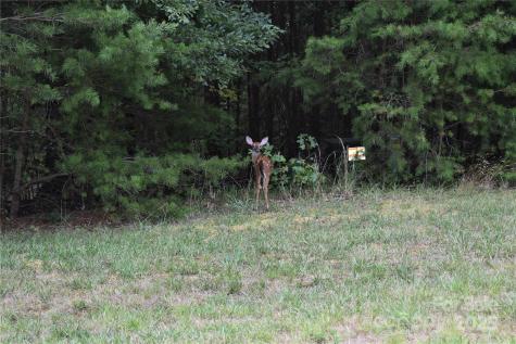 133 Badin View Drive Badin Lake NC 28127