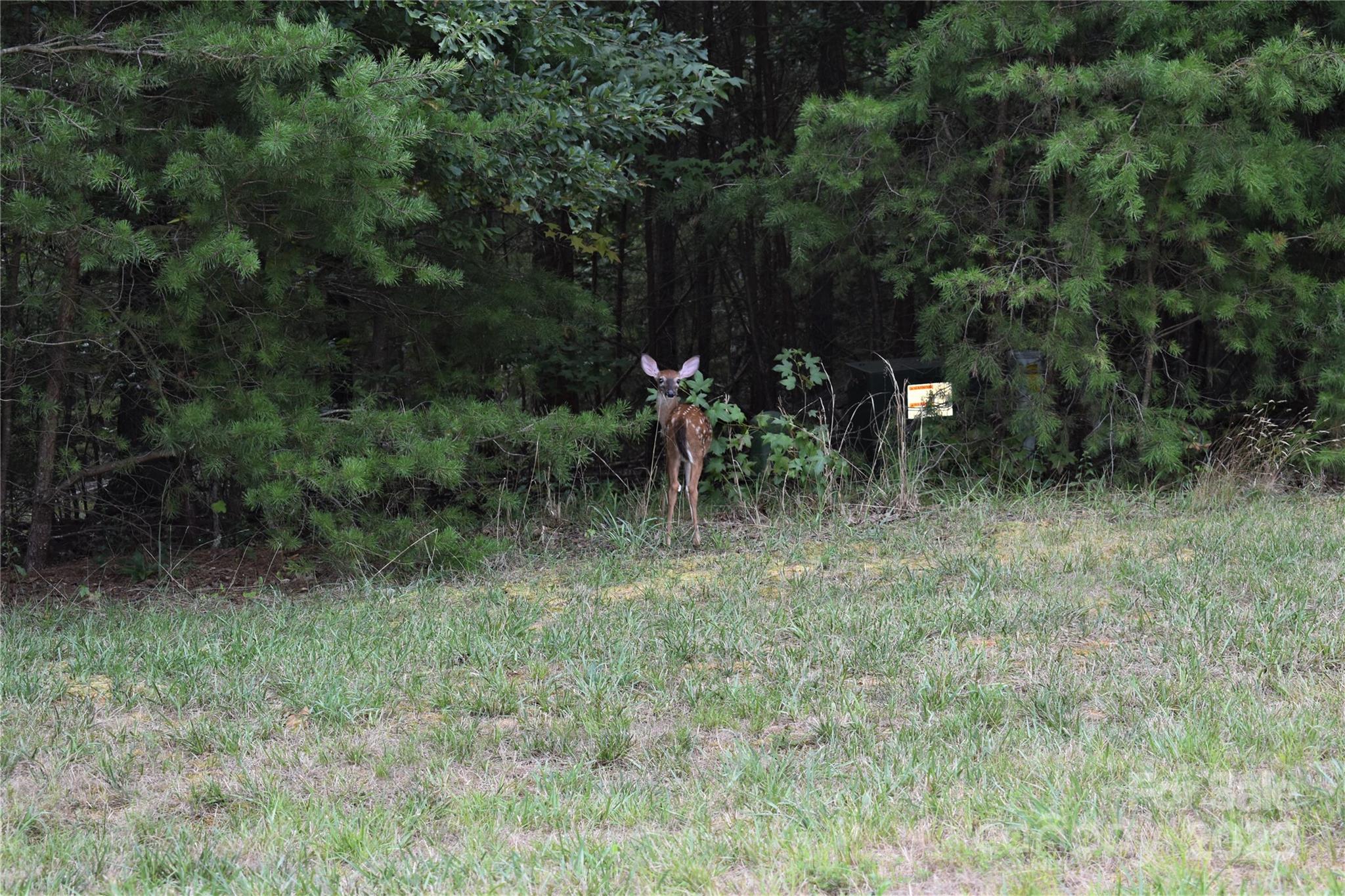 133 Badin View Drive Badin Lake NC 28127