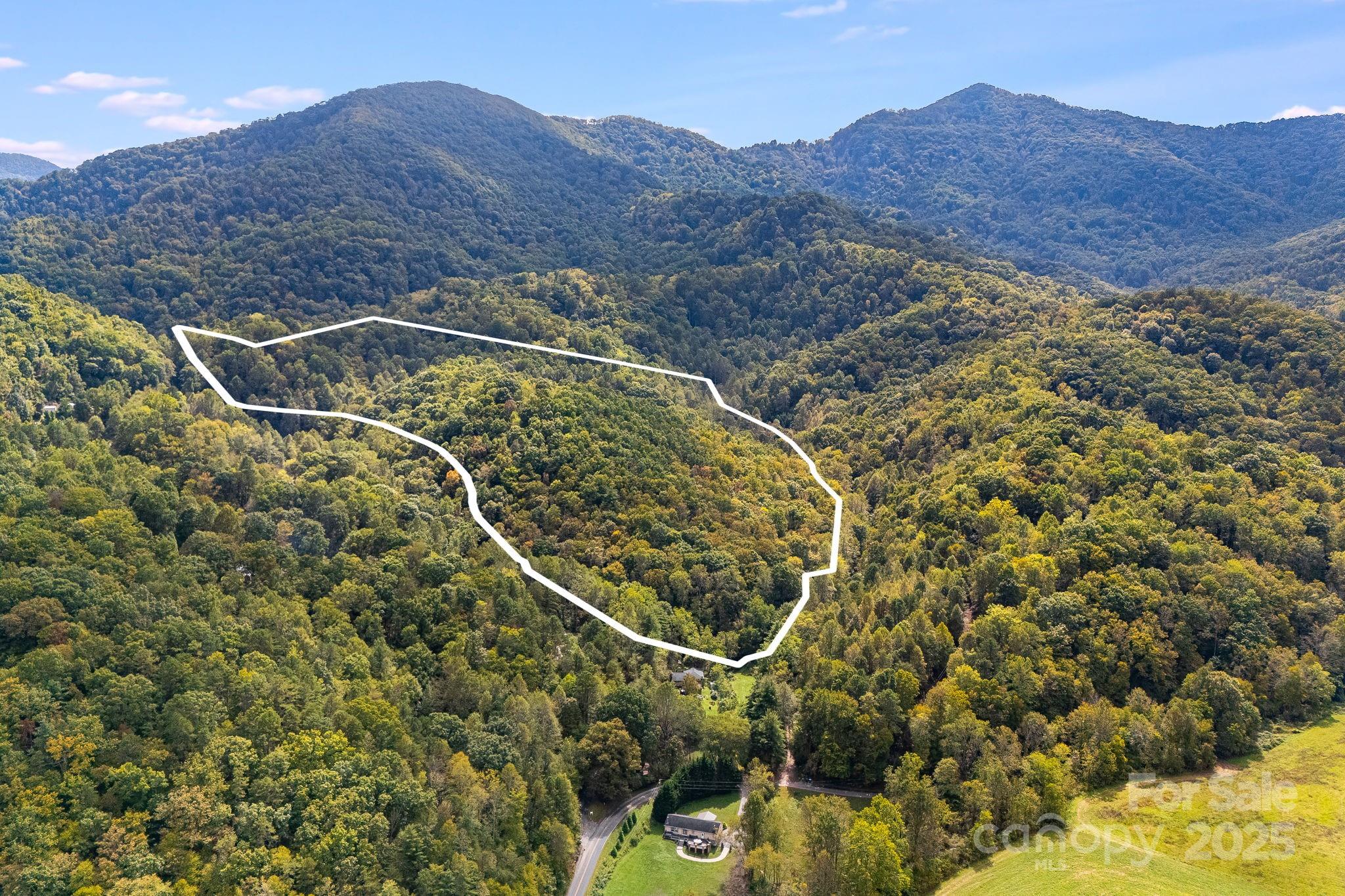 99999 S Hidden Cove Road Leicester NC 28748