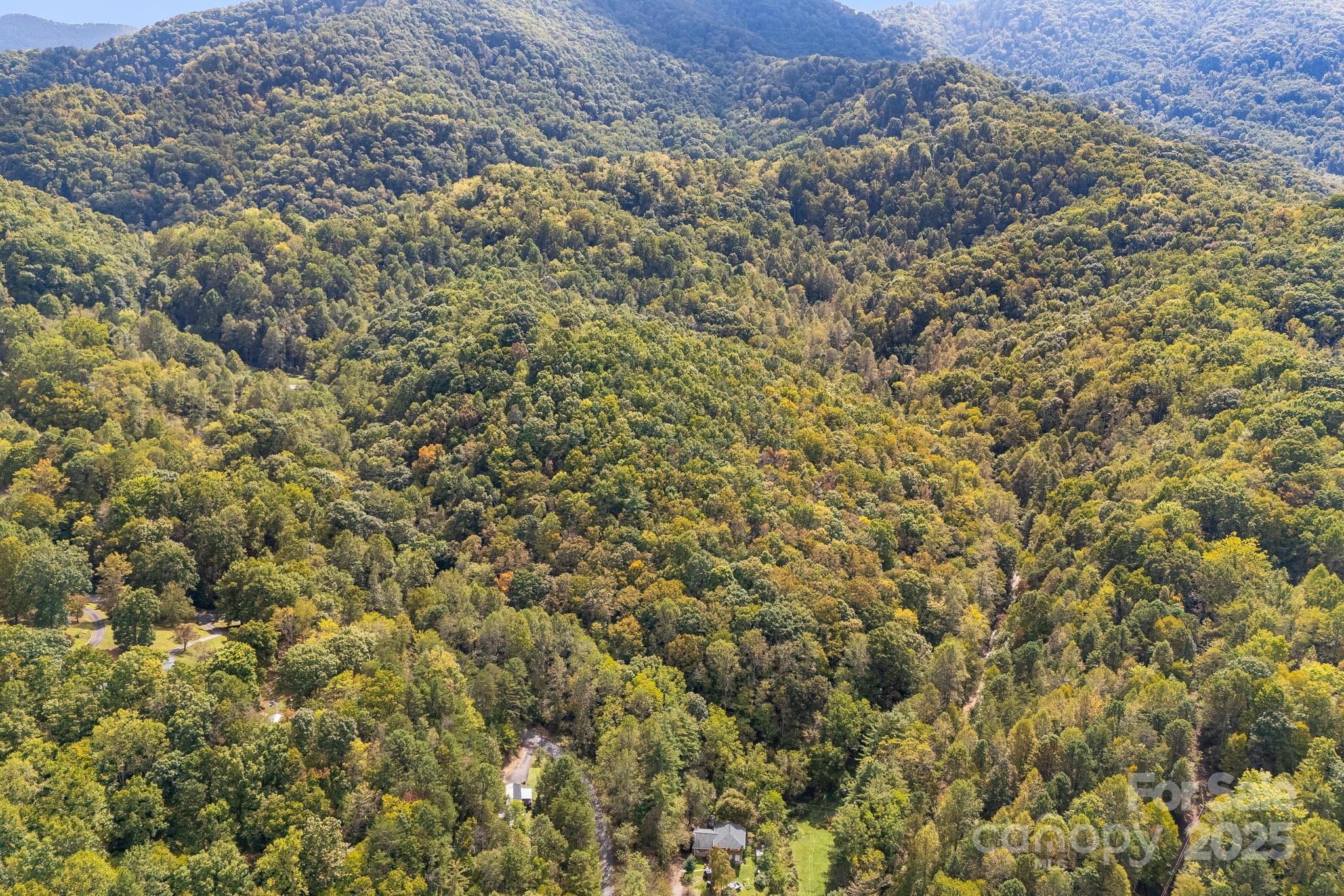 99999 S Hidden Cove Road Leicester NC 28748