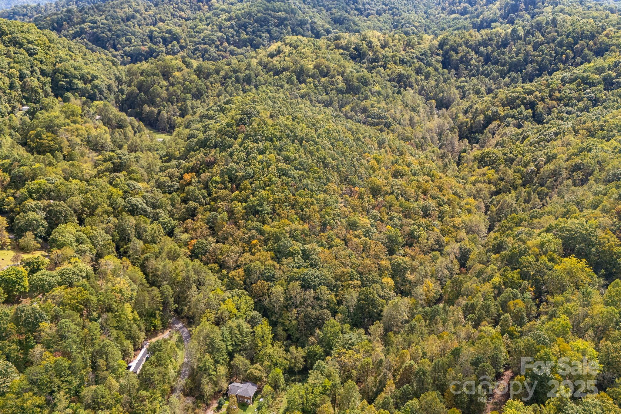 99999 S Hidden Cove Road Leicester NC 28748