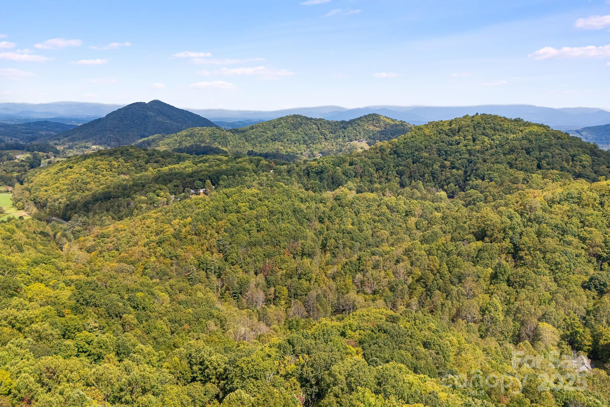 99999 S Hidden Cove Road Leicester NC 28748