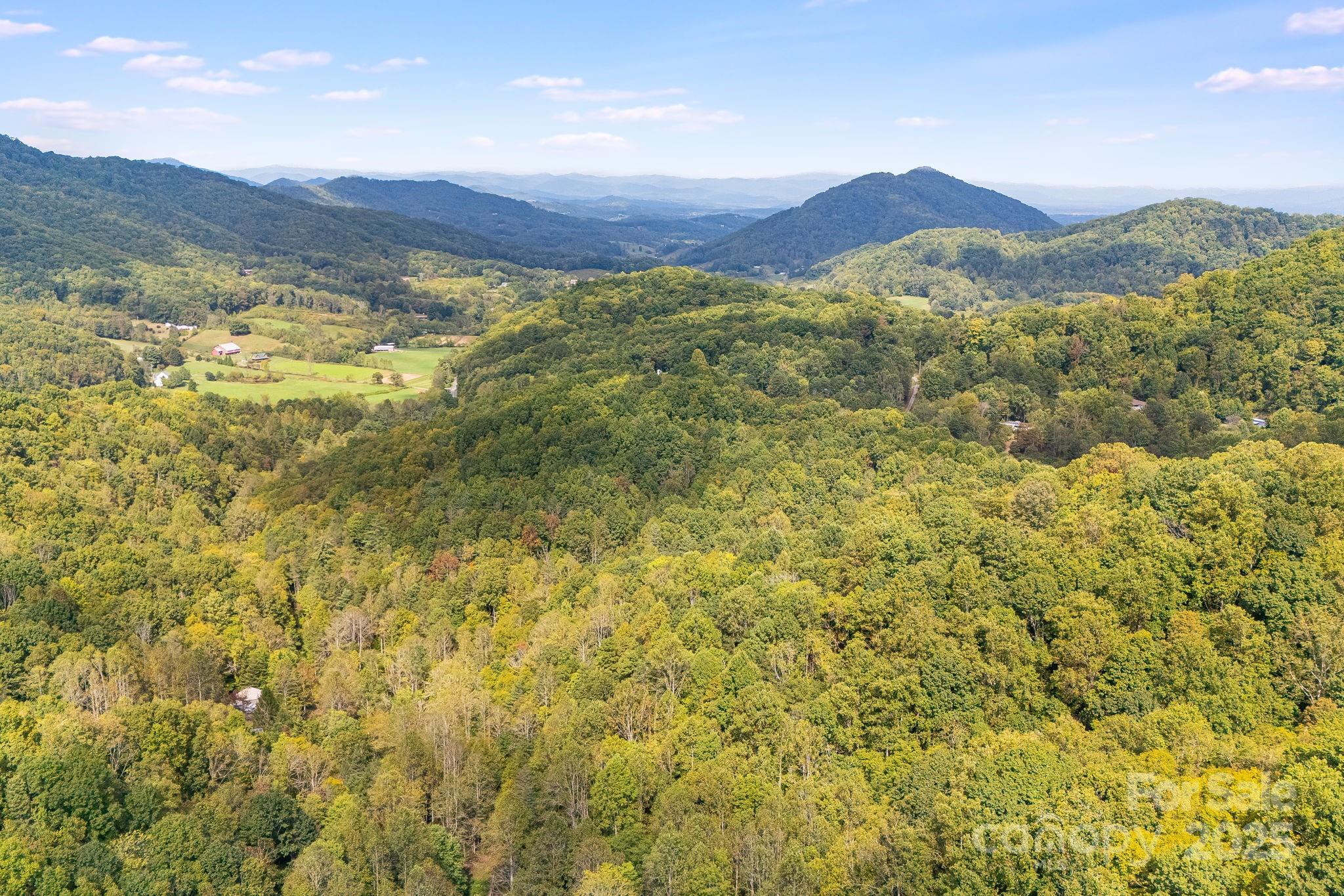 99999 S Hidden Cove Road Leicester NC 28748