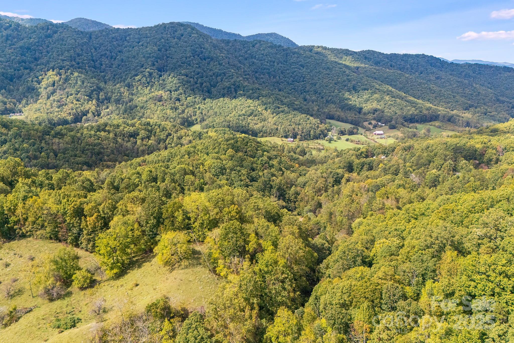 99999 S Hidden Cove Road Leicester NC 28748