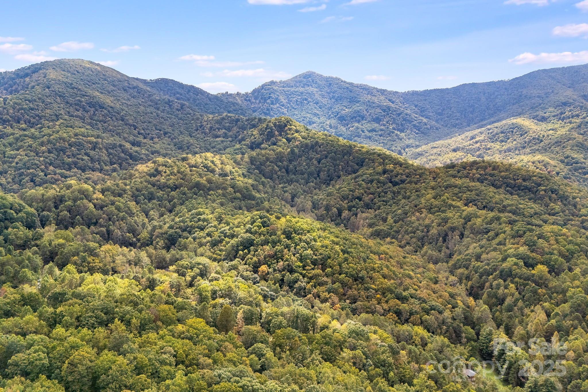 99999 S Hidden Cove Road Leicester NC 28748