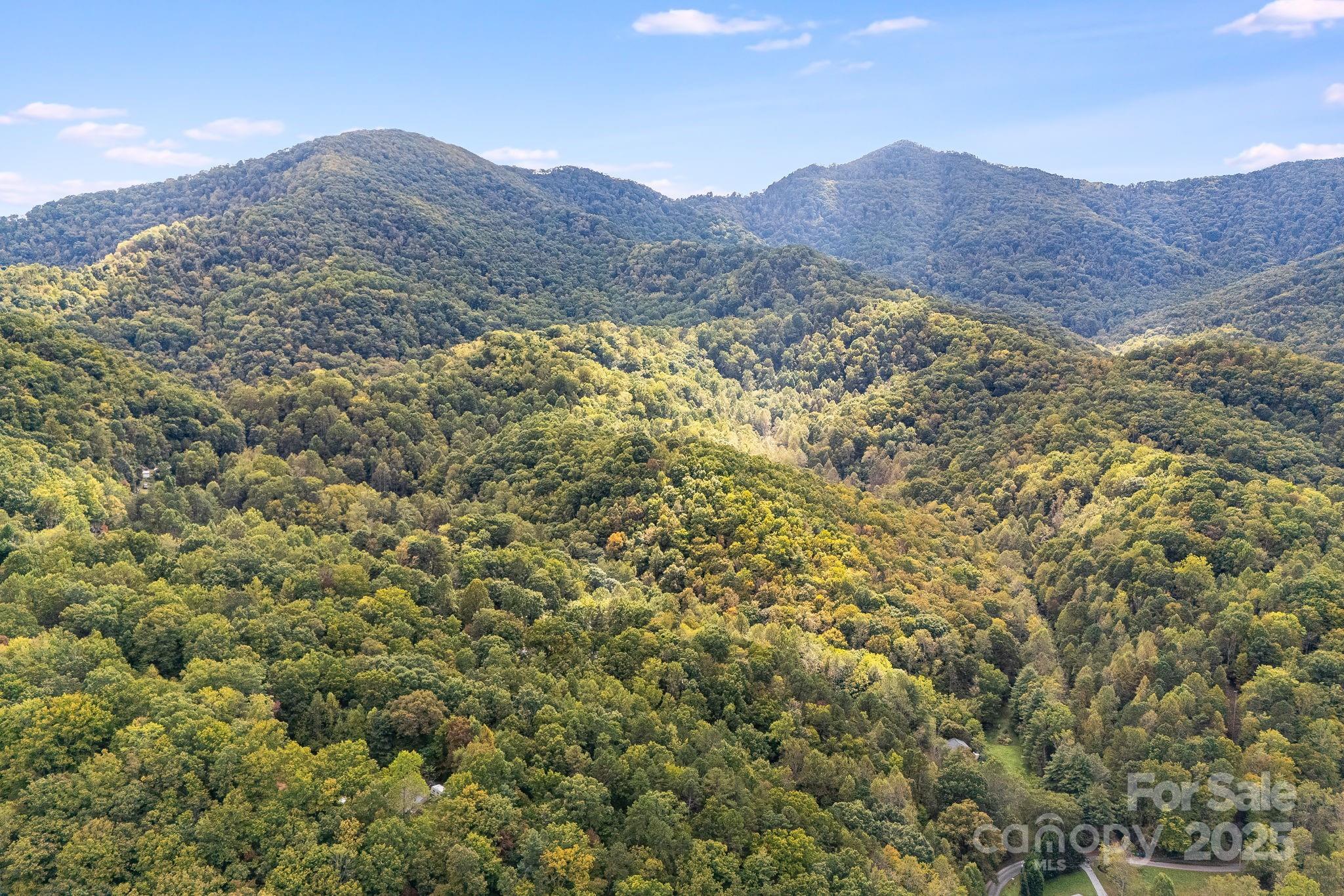 99999 S Hidden Cove Road Leicester NC 28748