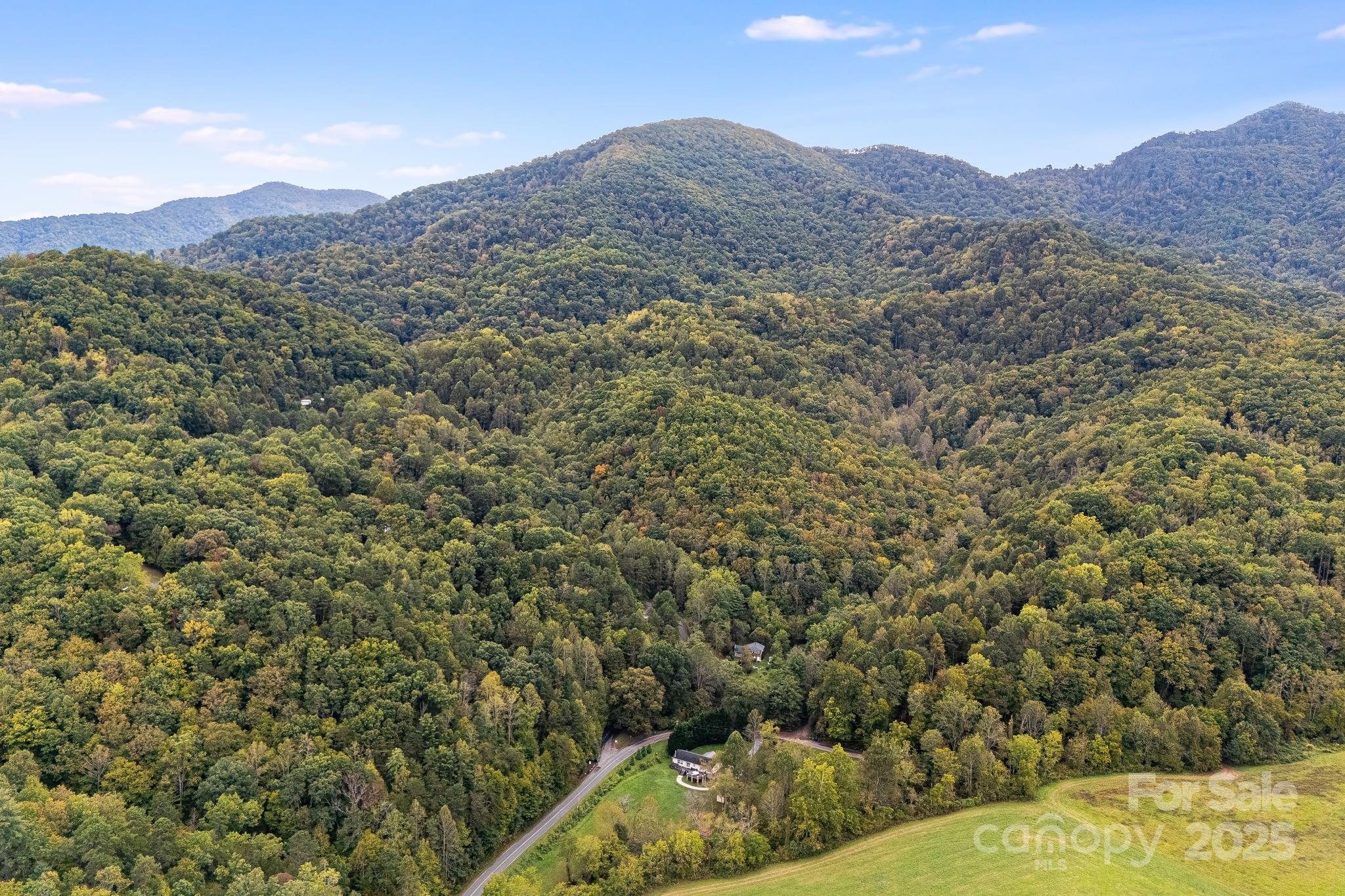 99999 S Hidden Cove Road Leicester NC 28748