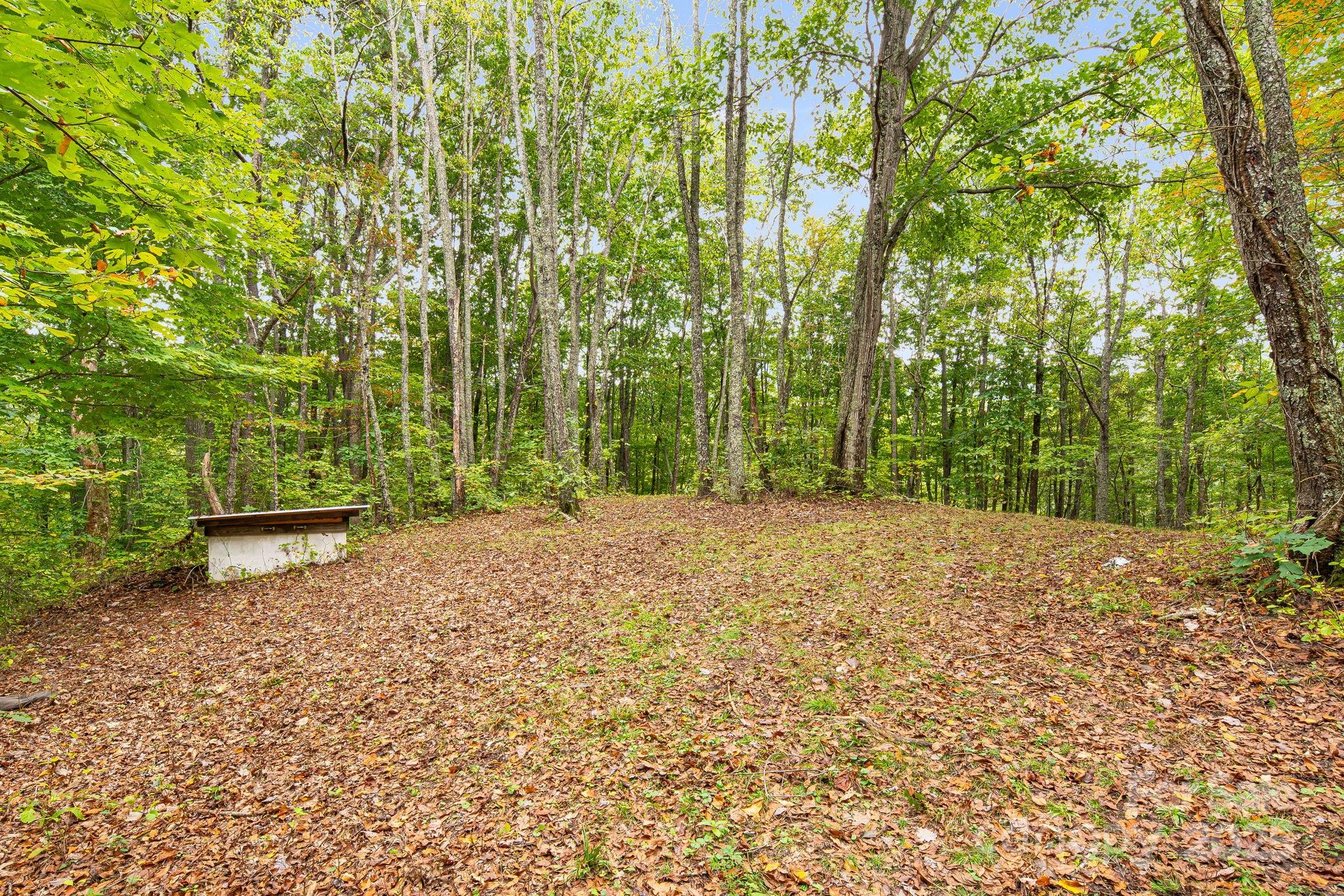 99999 S Hidden Cove Road Leicester NC 28748