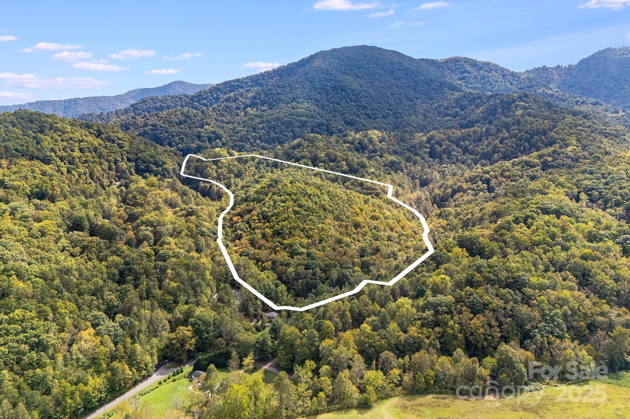 99999 S Hidden Cove Road Leicester NC 28748