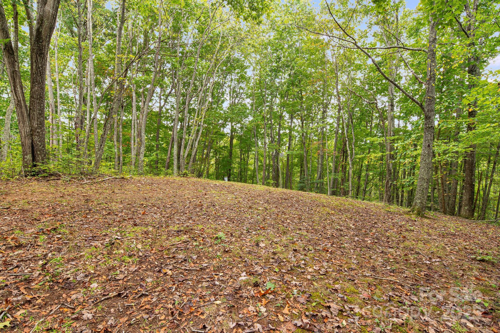 99999 S Hidden Cove Road Leicester NC 28748