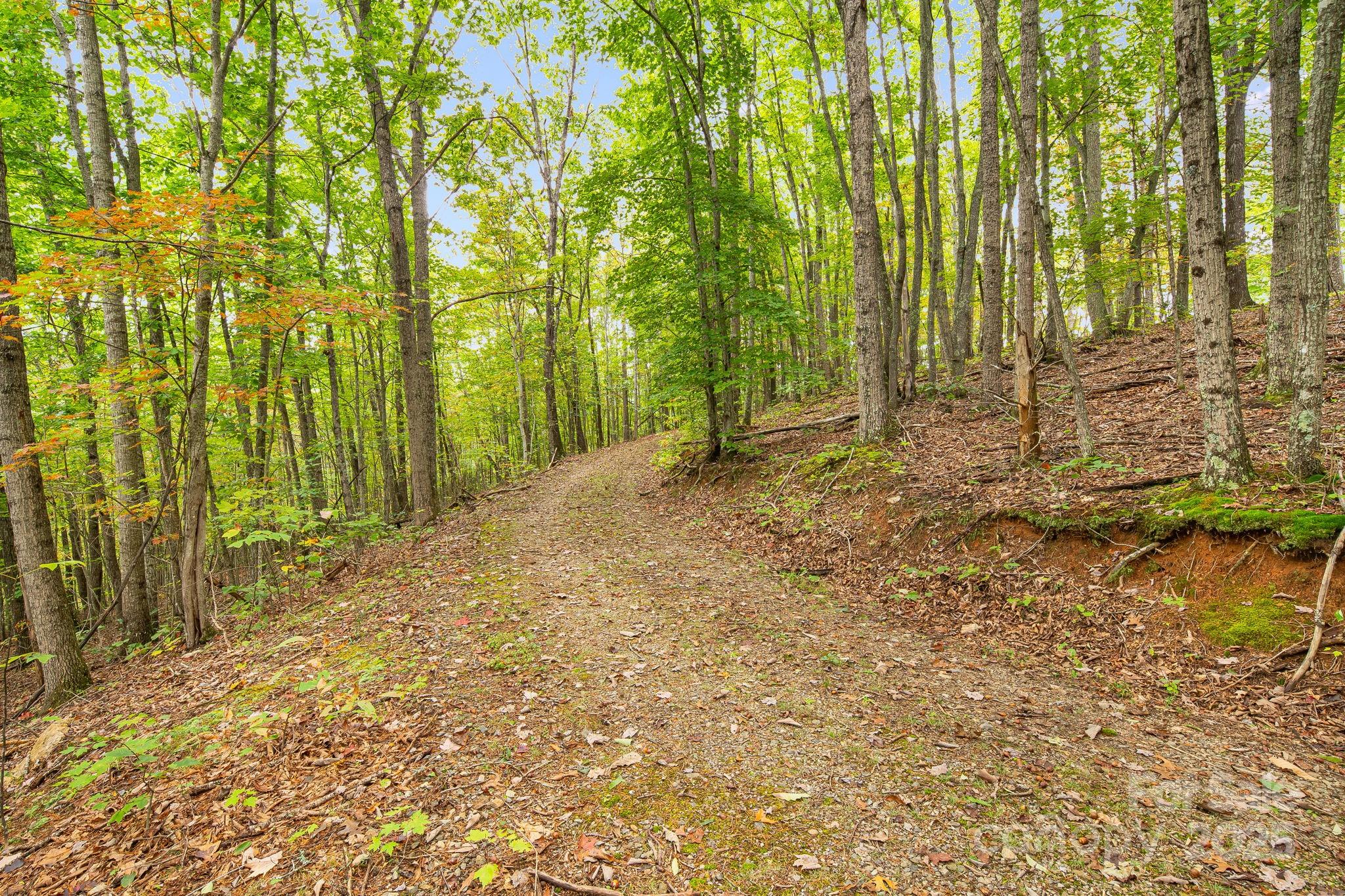 99999 S Hidden Cove Road Leicester NC 28748