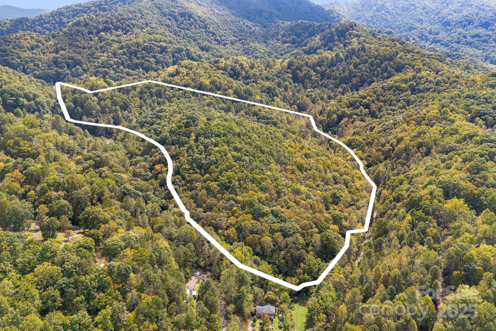 99999 S Hidden Cove Road Leicester NC 28748