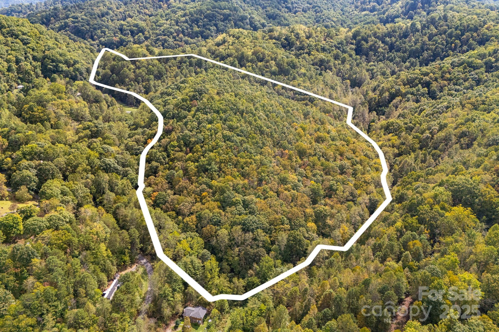 99999 S Hidden Cove Road Leicester NC 28748