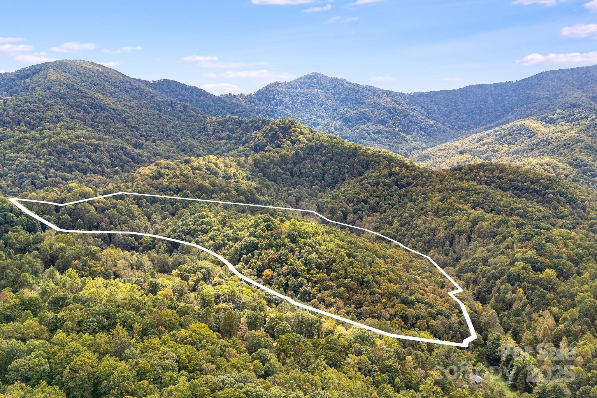 99999 S Hidden Cove Road Leicester NC 28748