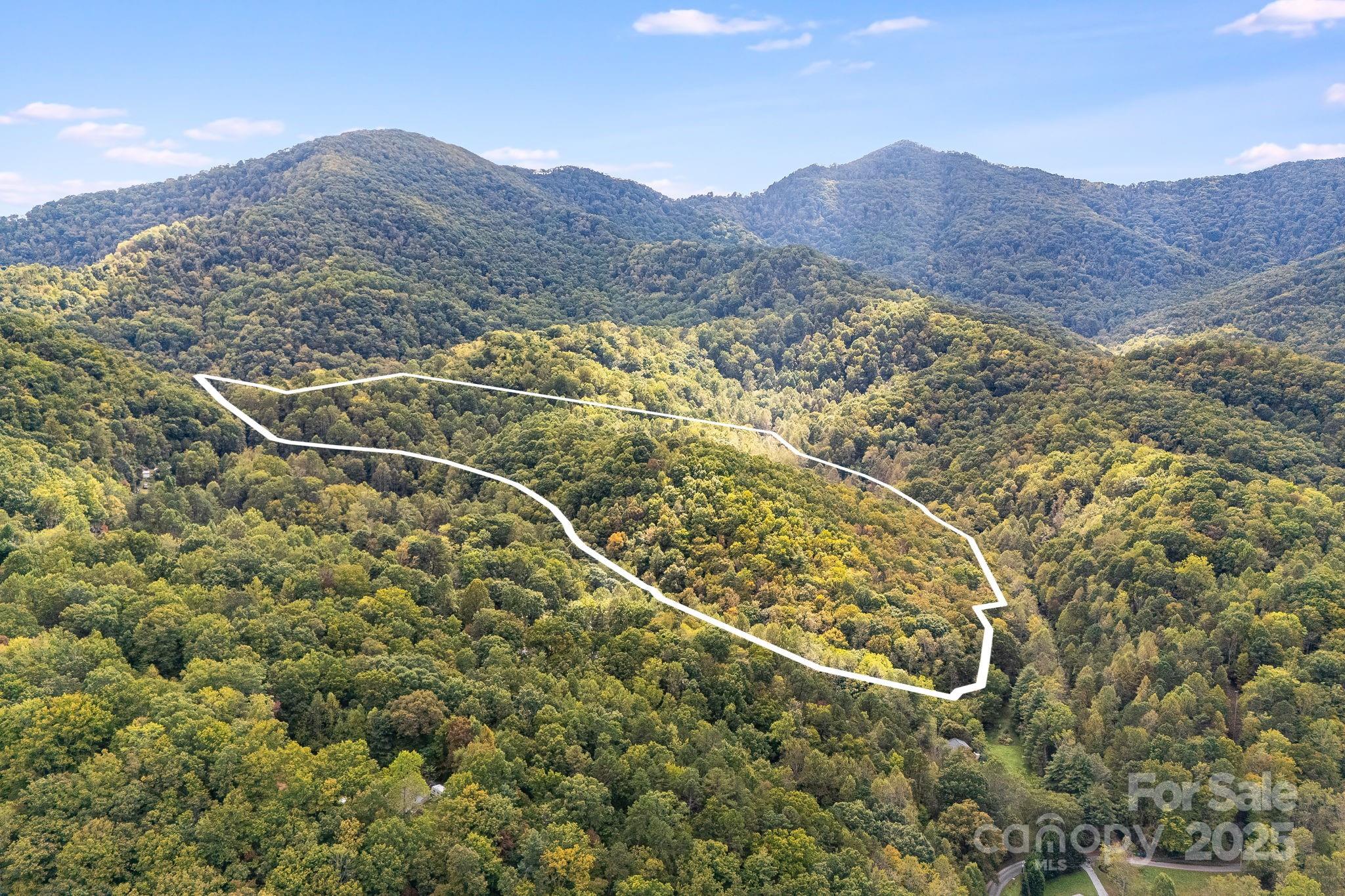 99999 S Hidden Cove Road Leicester NC 28748