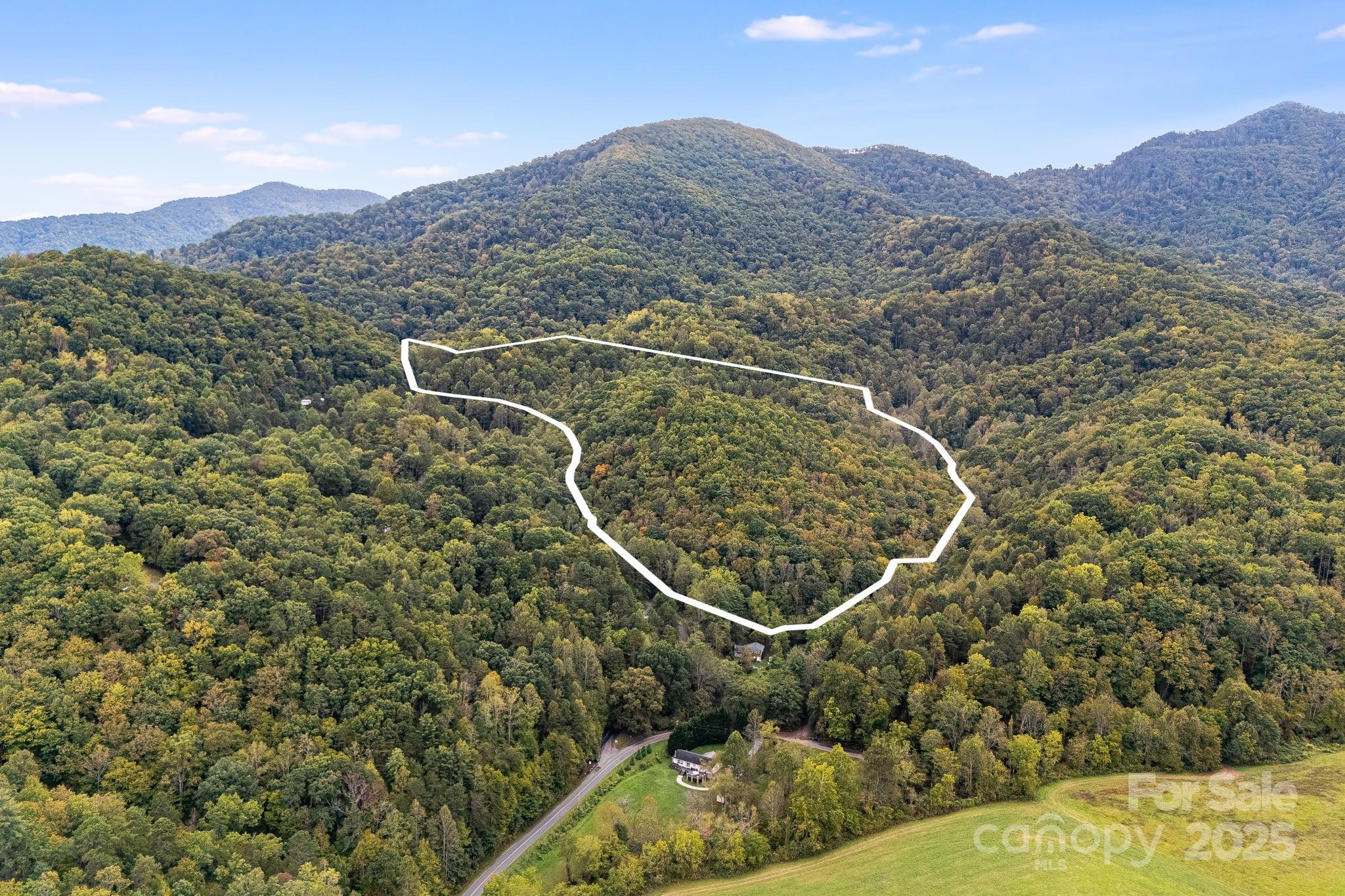 99999 S Hidden Cove Road Leicester NC 28748