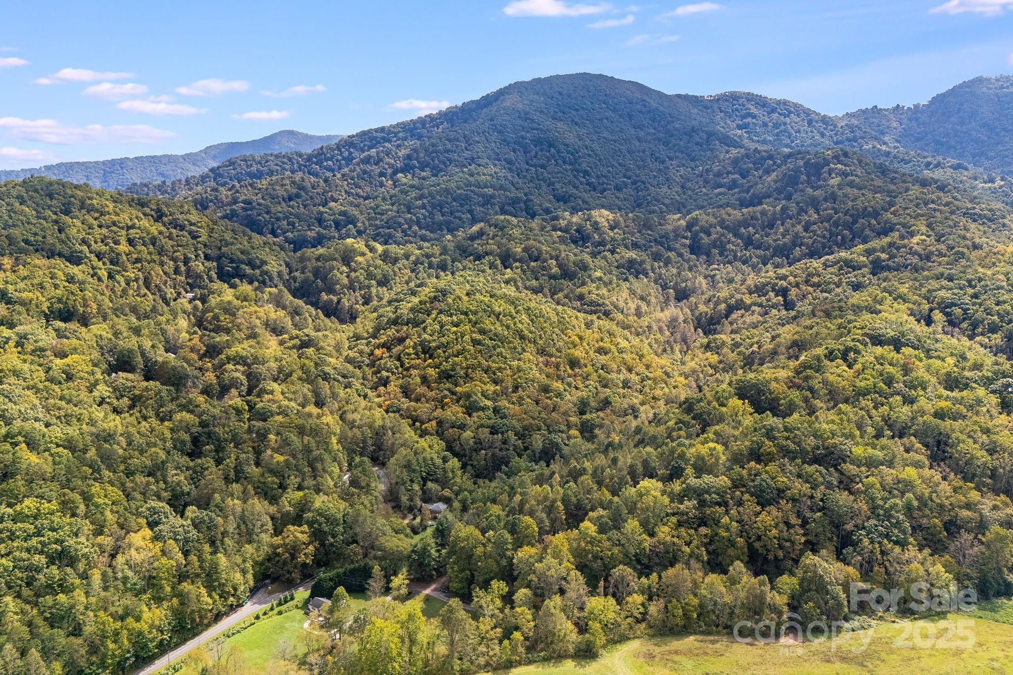 99999 S Hidden Cove Road Leicester NC 28748