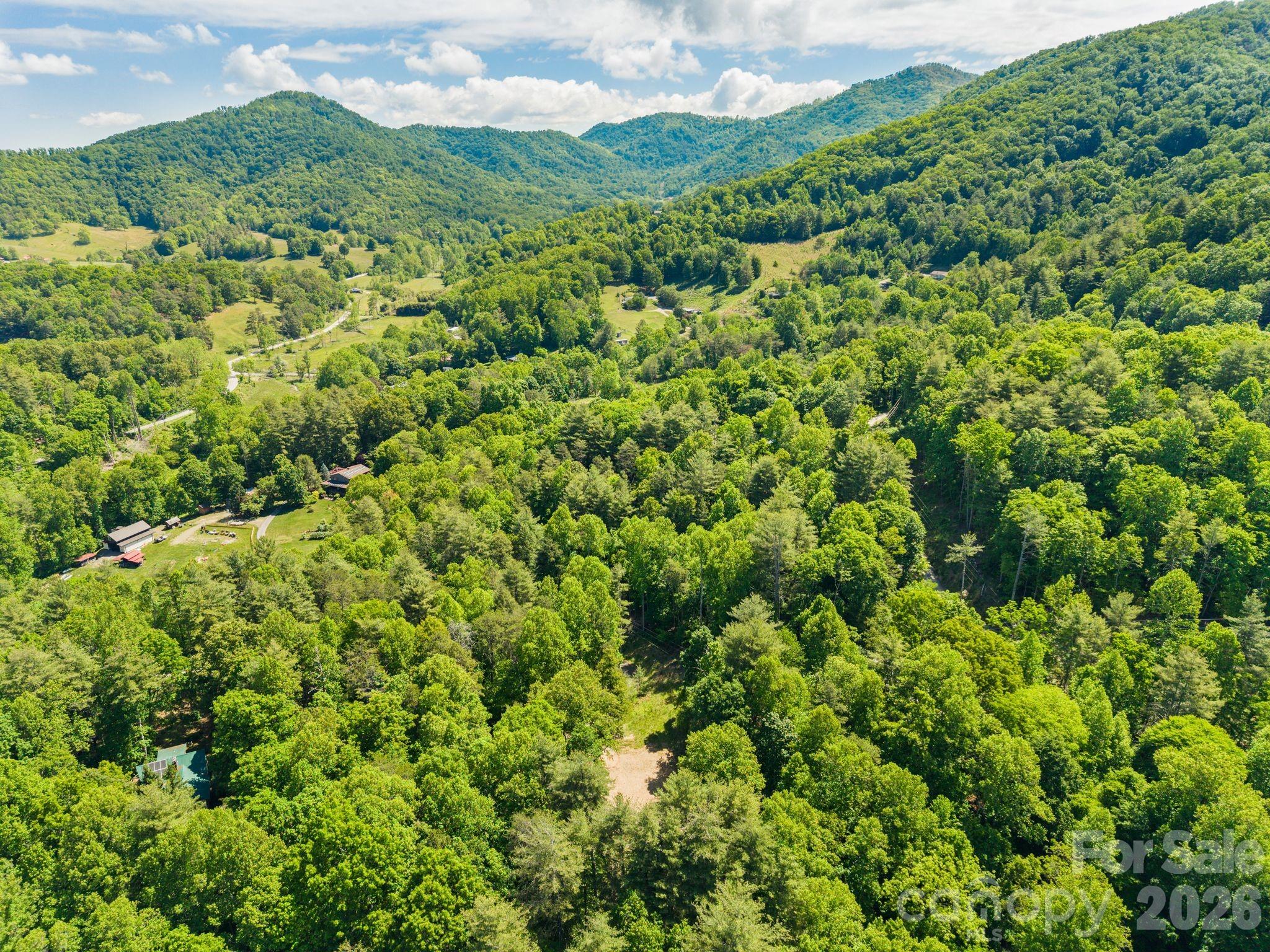 31 White Bridge Road Weaverville NC 28787
