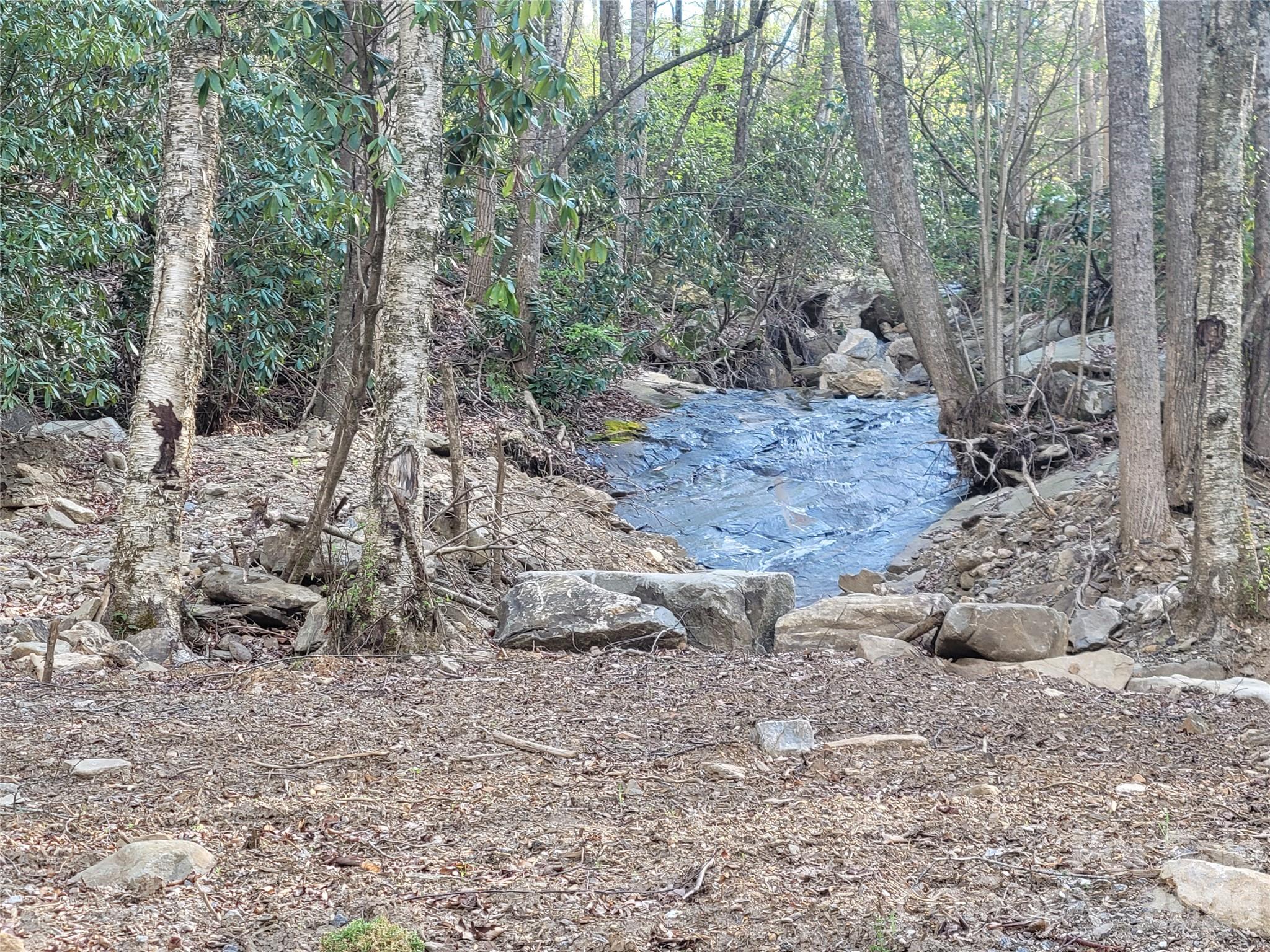 9999 Lytle Cove Road Swannanoa NC 28778