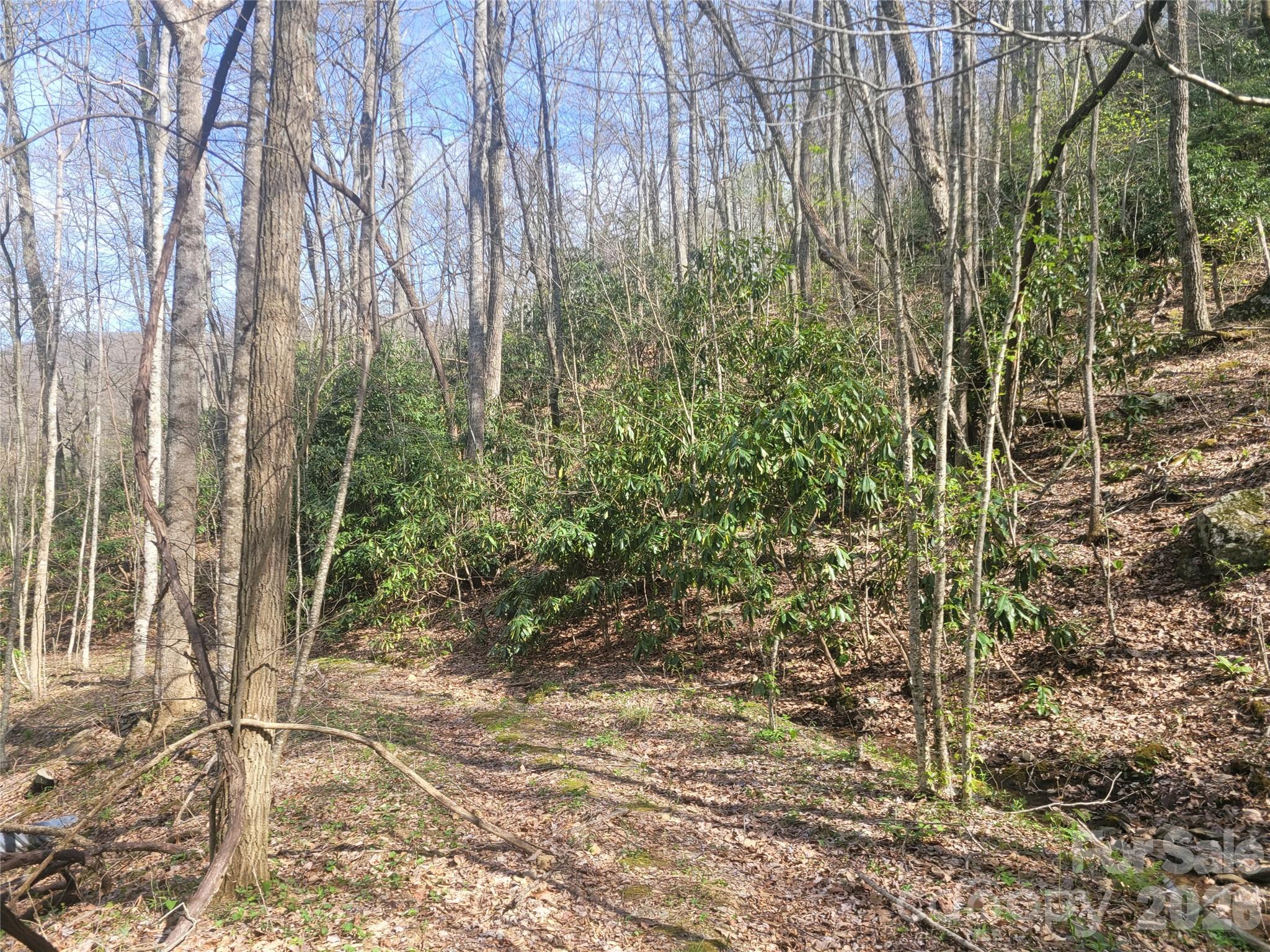 9999 Lytle Cove Road Swannanoa NC 28778