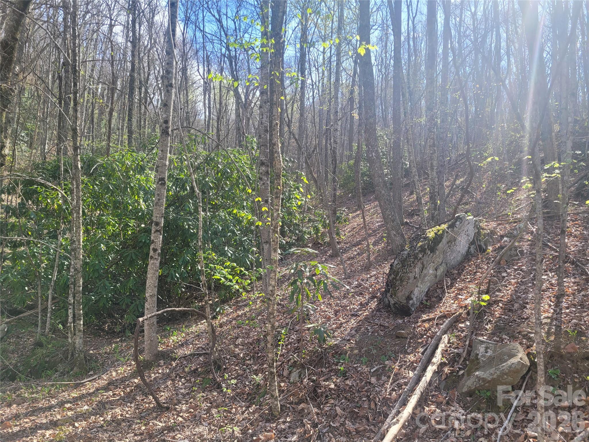 9999 Lytle Cove Road Swannanoa NC 28778