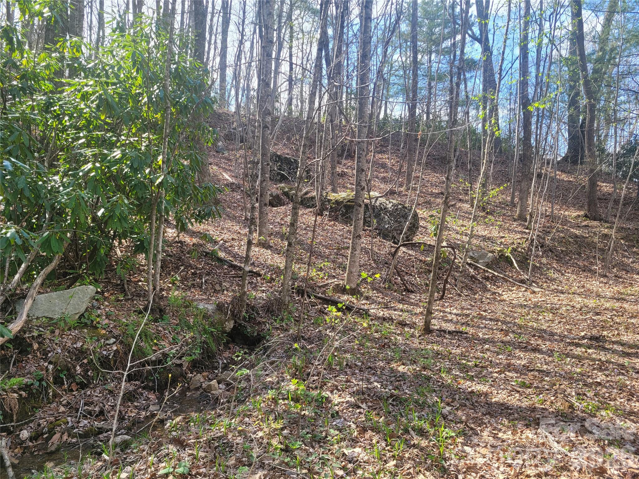 9999 Lytle Cove Road Swannanoa NC 28778