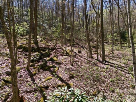 9999 Lytle Cove Road Swannanoa NC 28778