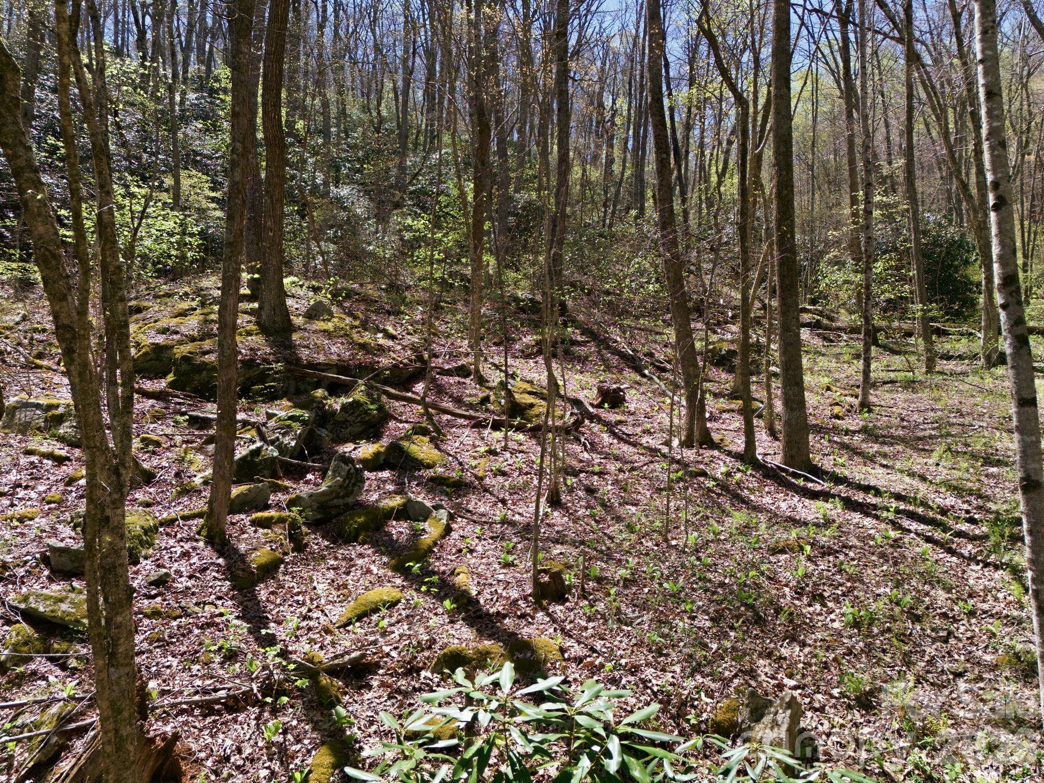 9999 Lytle Cove Road Swannanoa NC 28778