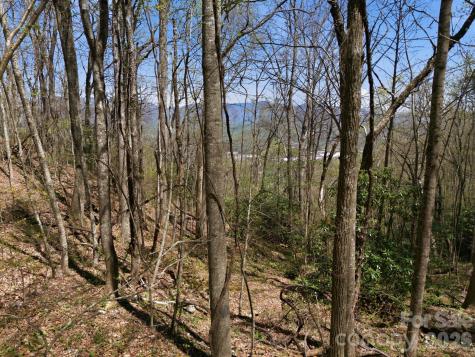9999 Lytle Cove Road Swannanoa NC 28778