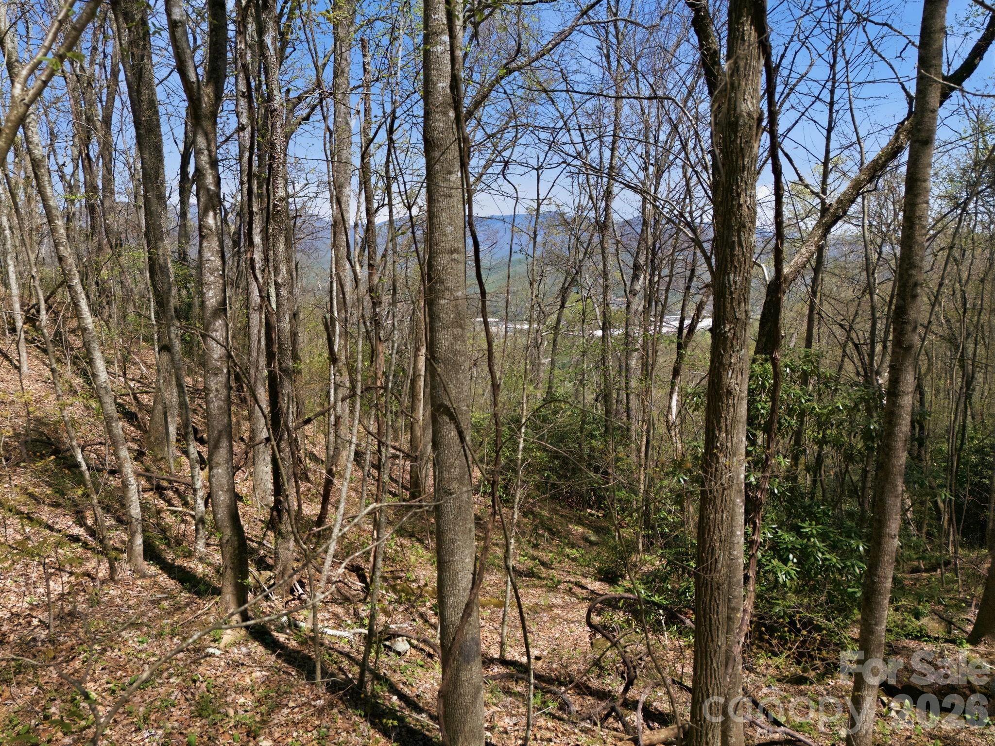 9999 Lytle Cove Road Swannanoa NC 28778