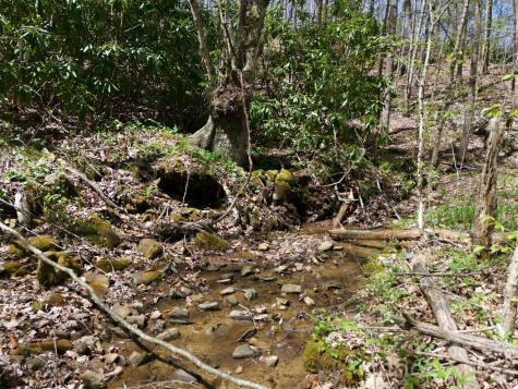 9999 Lytle Cove Road Swannanoa NC 28778