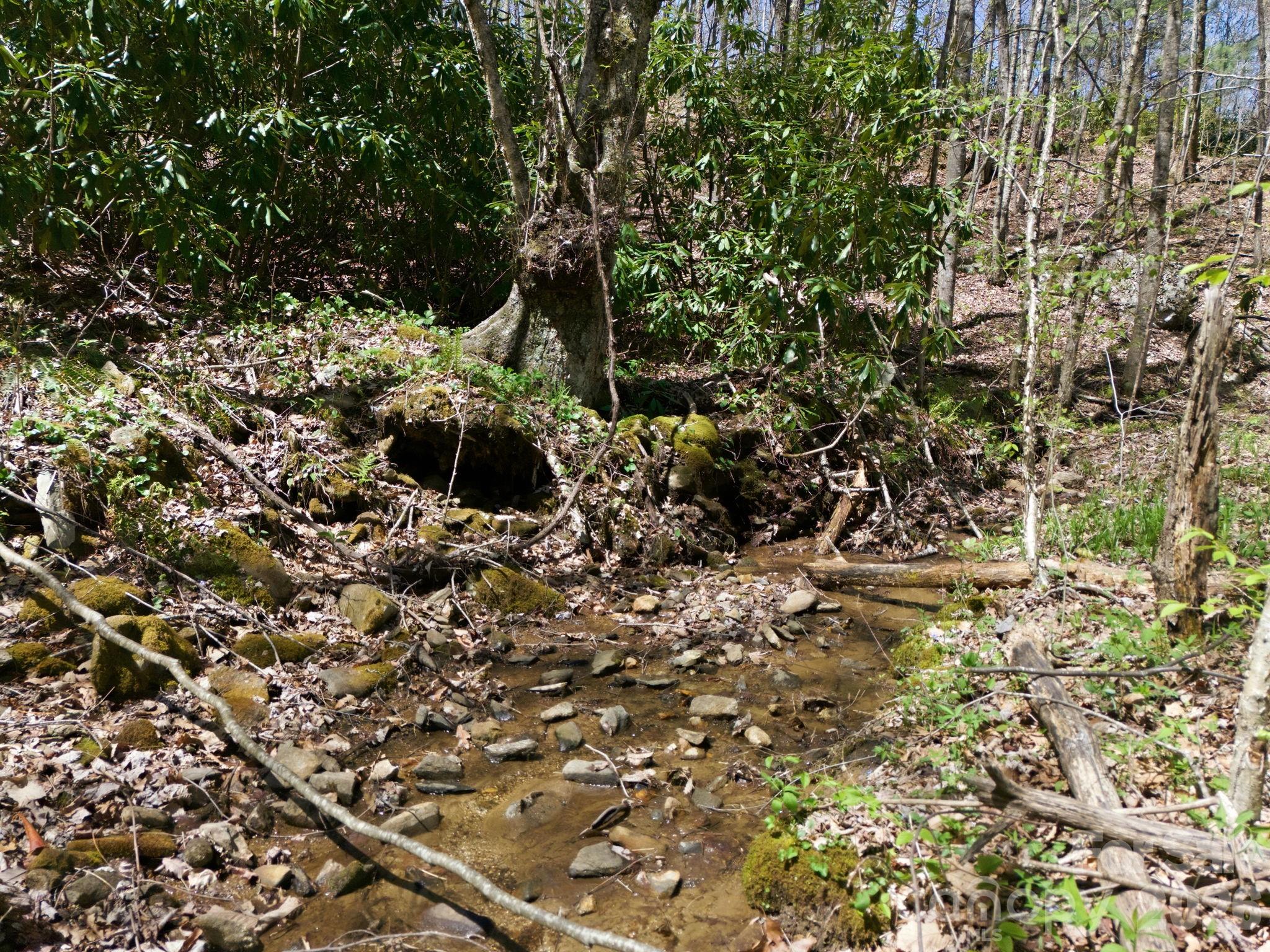 9999 Lytle Cove Road Swannanoa NC 28778