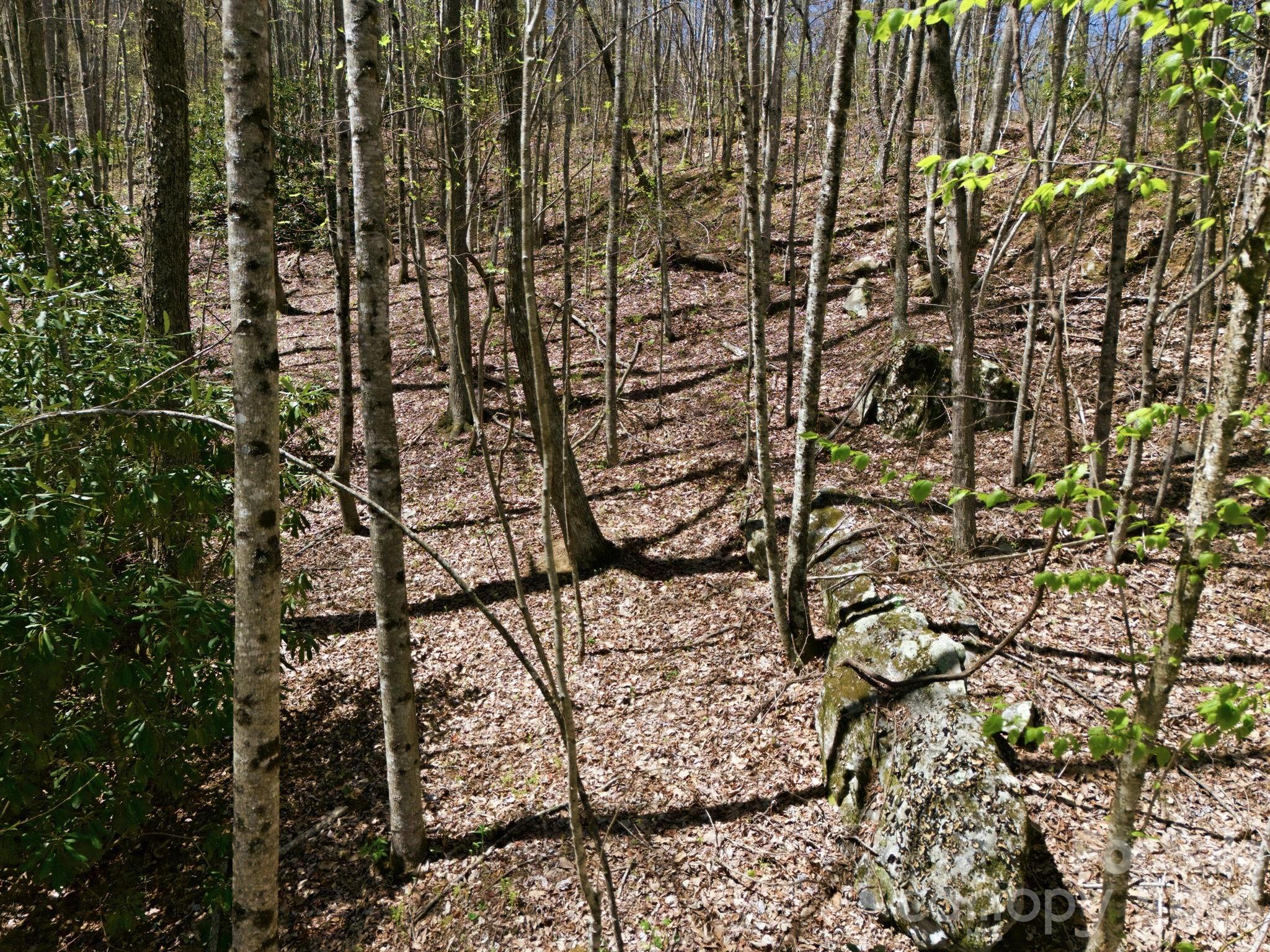 9999 Lytle Cove Road Swannanoa NC 28778