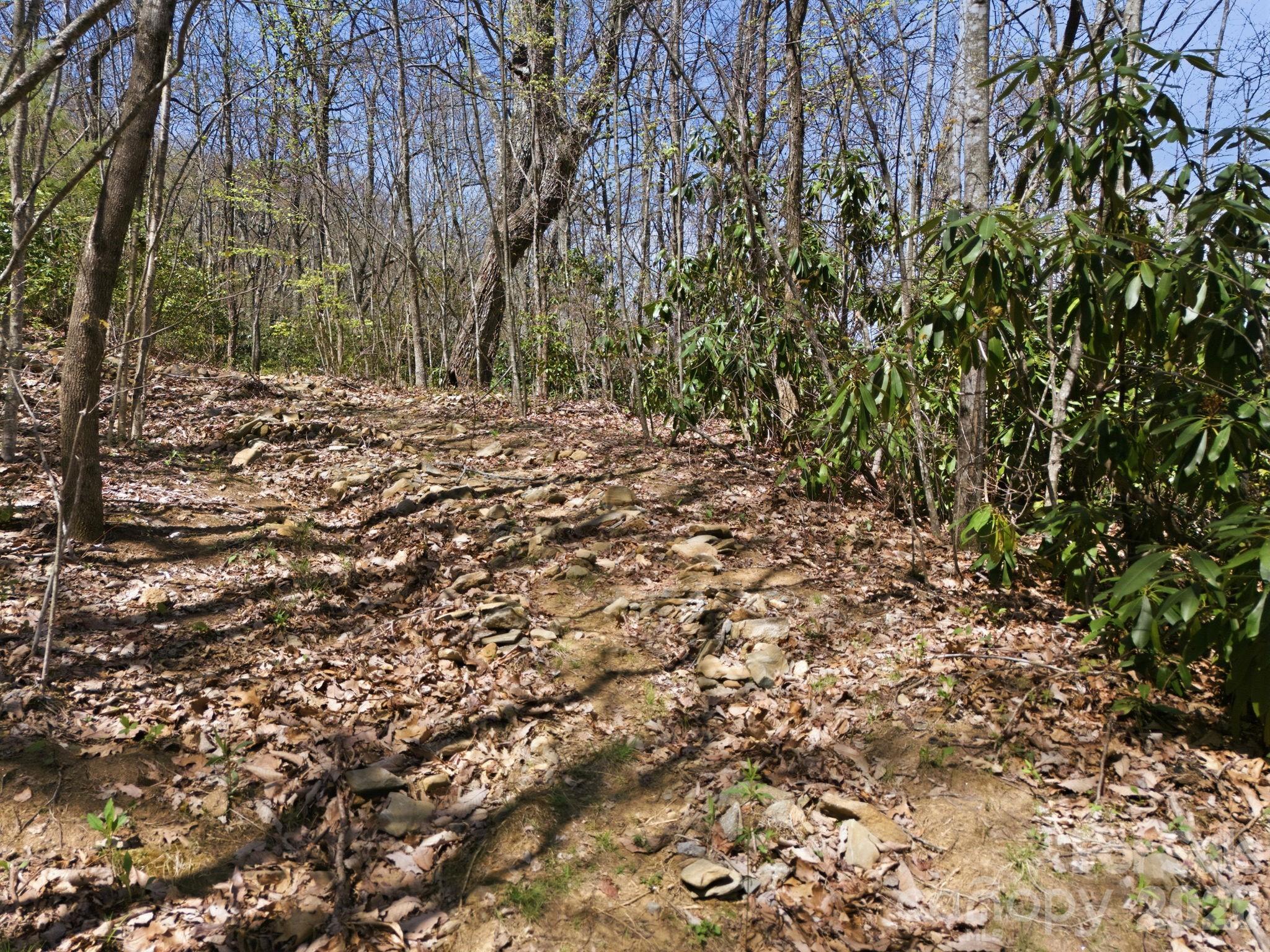 9999 Lytle Cove Road Swannanoa NC 28778