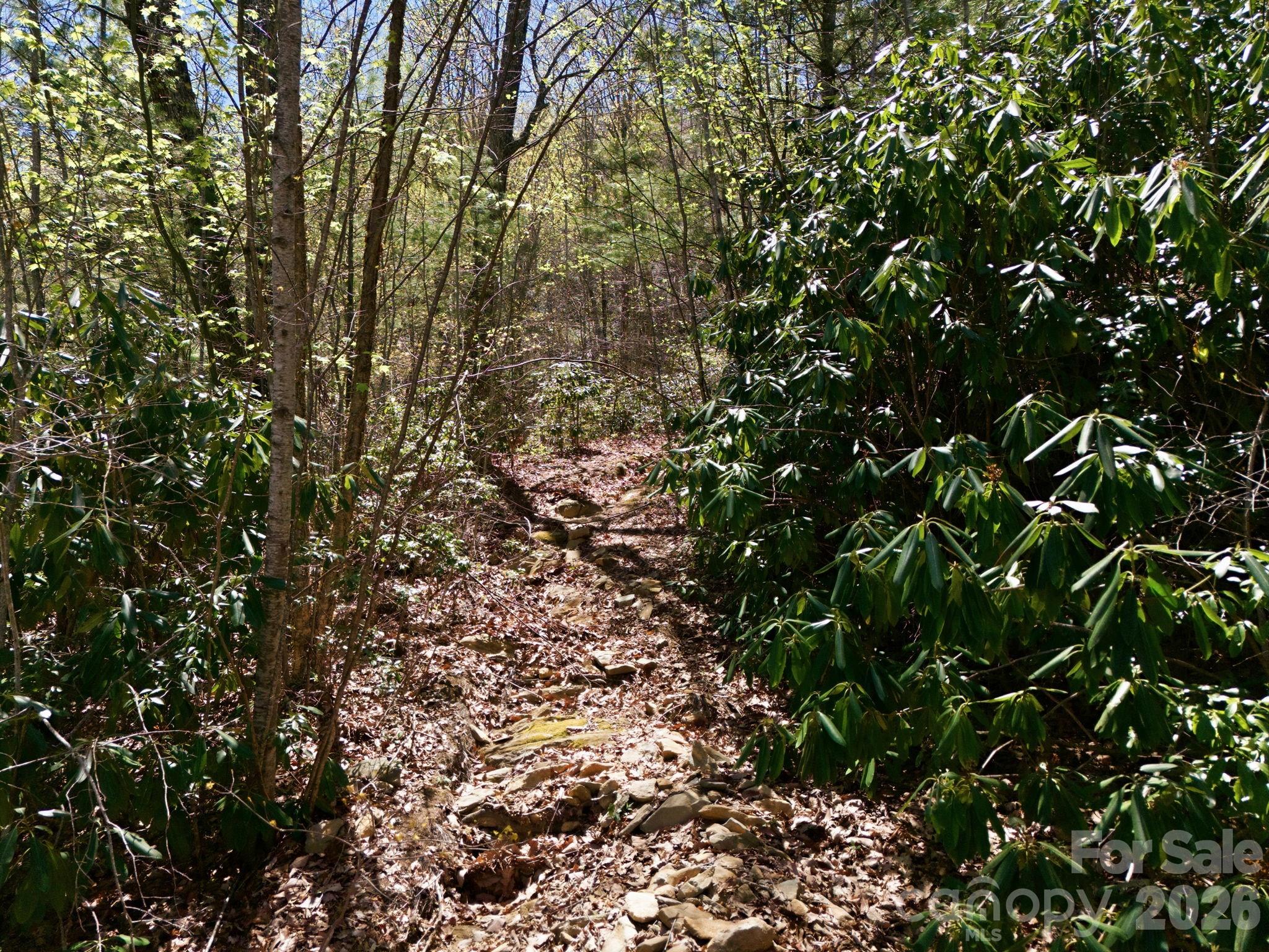 9999 Lytle Cove Road Swannanoa NC 28778