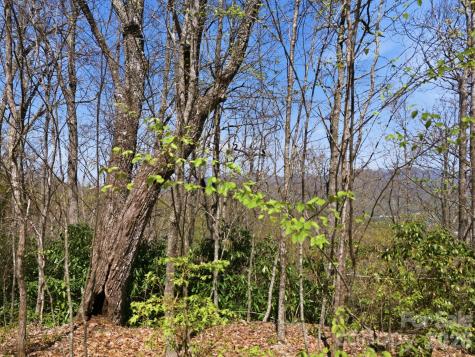 9999 Lytle Cove Road Swannanoa NC 28778