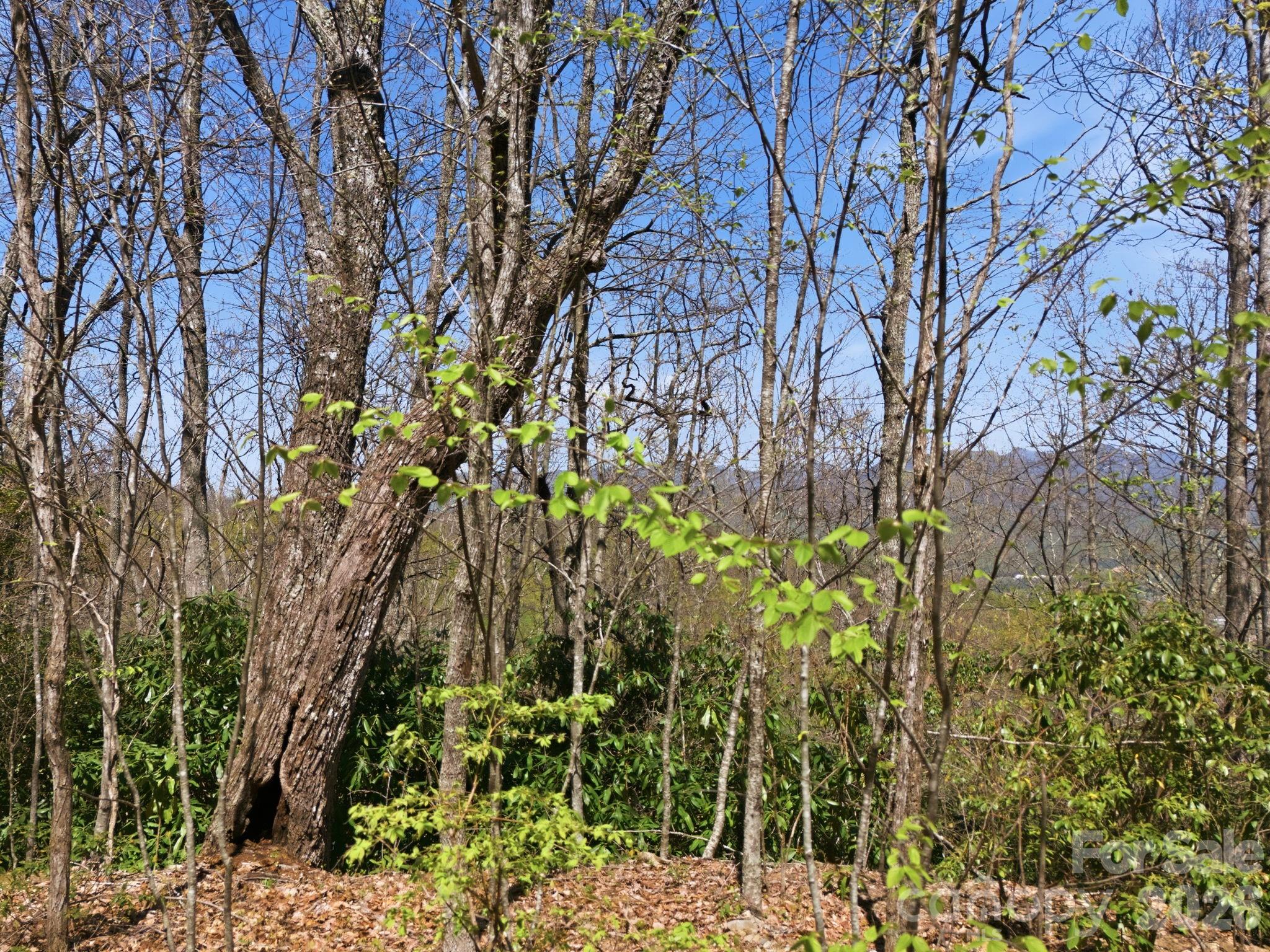 9999 Lytle Cove Road Swannanoa NC 28778