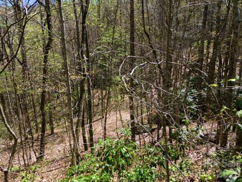 9999 Lytle Cove Road Swannanoa NC 28778