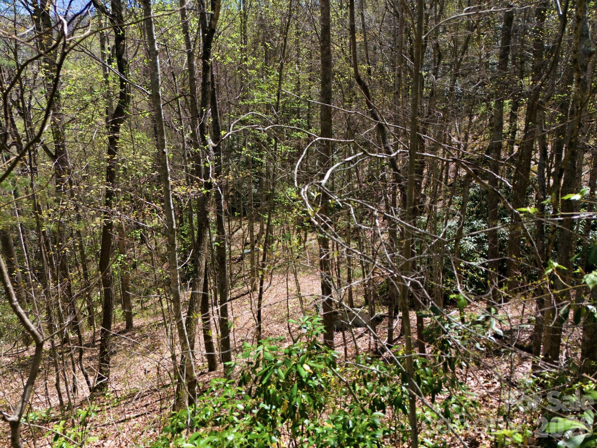 9999 Lytle Cove Road Swannanoa NC 28778