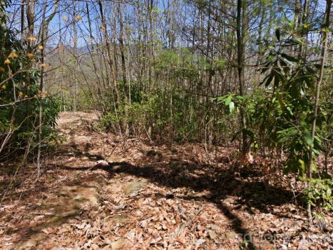 9999 Lytle Cove Road Swannanoa NC 28778