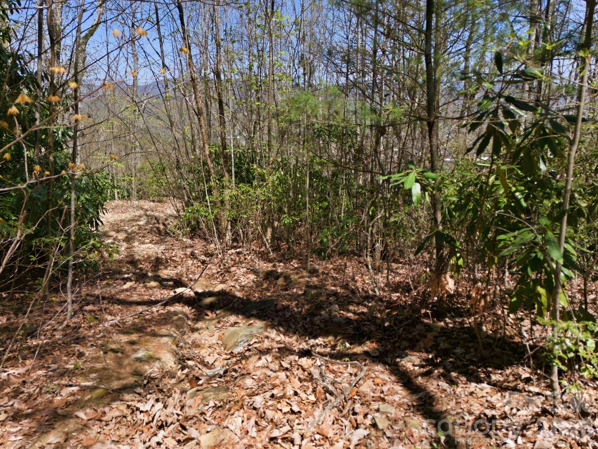 9999 Lytle Cove Road Swannanoa NC 28778