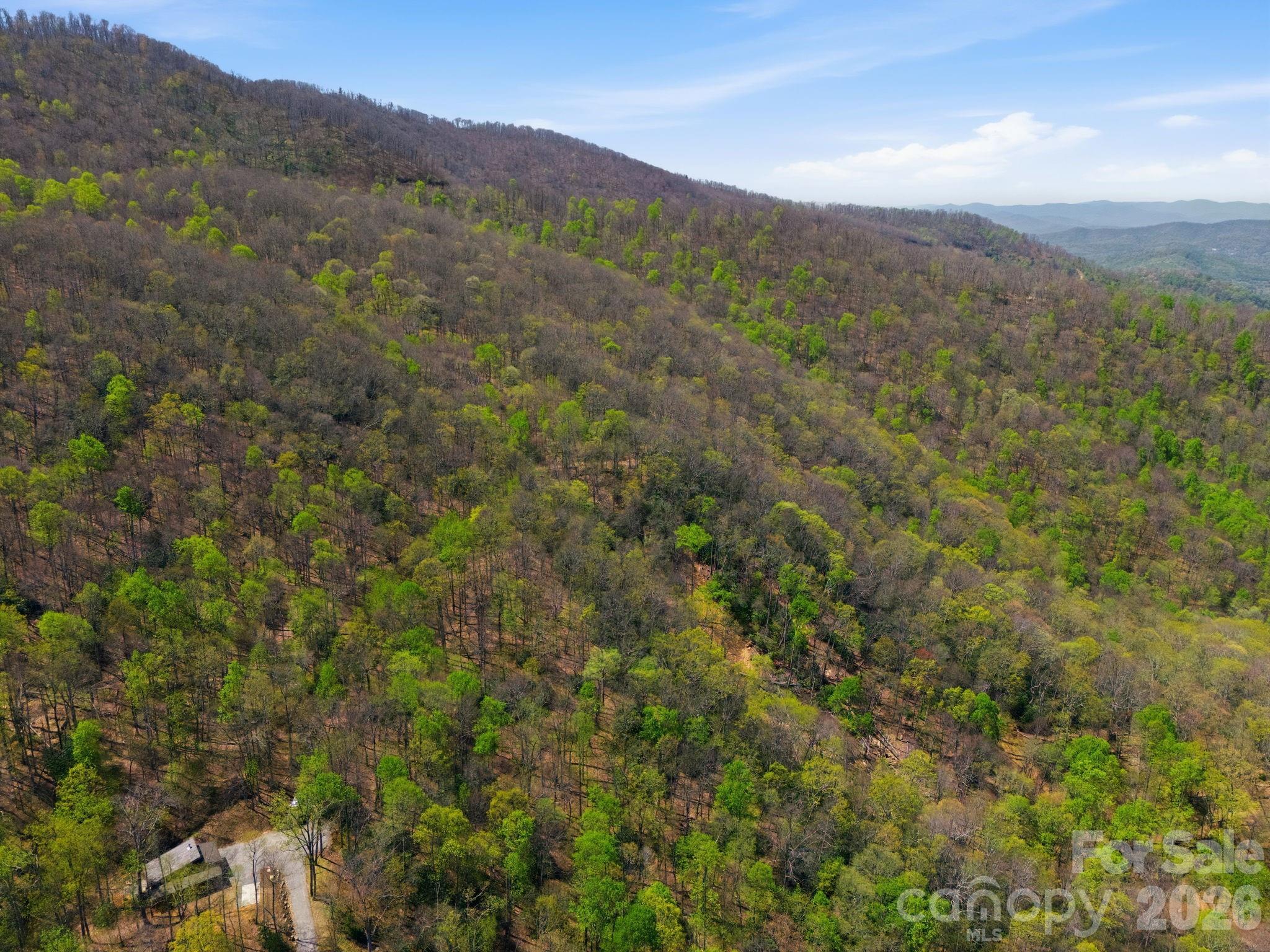9999 Lytle Cove Road Swannanoa NC 28778