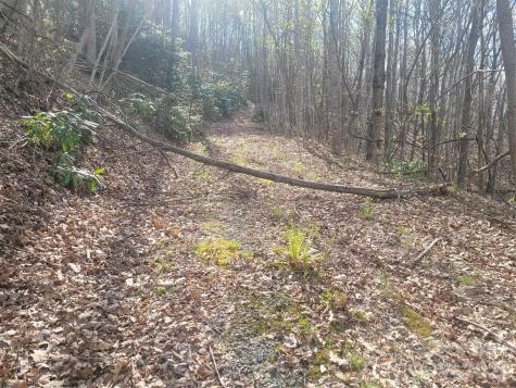 9999 Lytle Cove Road Swannanoa NC 28778
